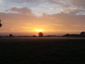 lever de soleil, nature
